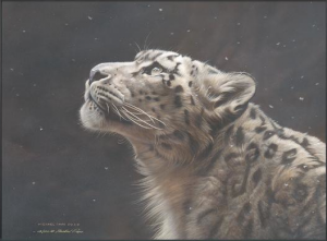 michael-pape Silence Speaks - Snow Leopard, by Michael Pape
