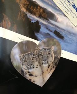 heart magnet Snow Leopards on the Fridge