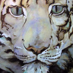 snowleopardbook_MED The Snow Leopard by Jackie Morris