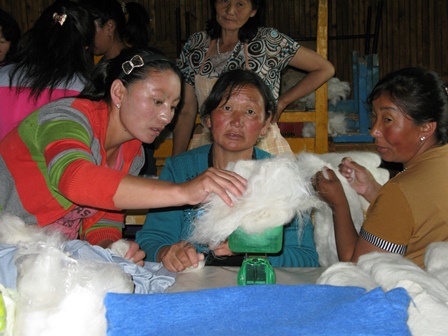 Participants felting