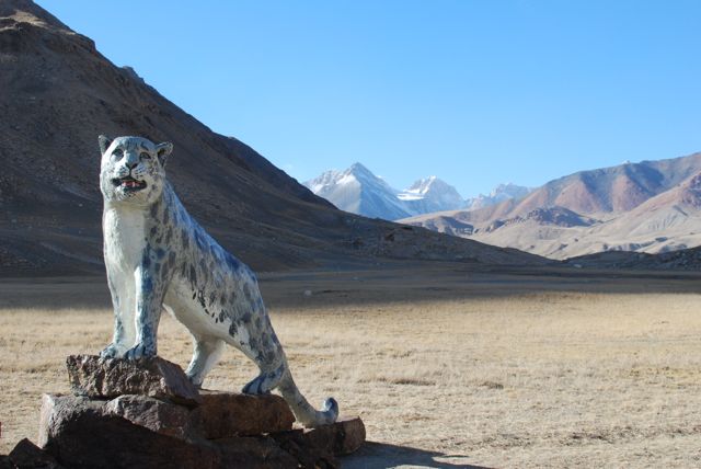 A Trip To Snow Leopard Shangri-La