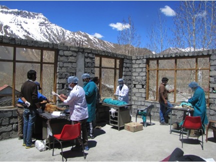 Vets and the newly trained parapets, operating on feral dogs