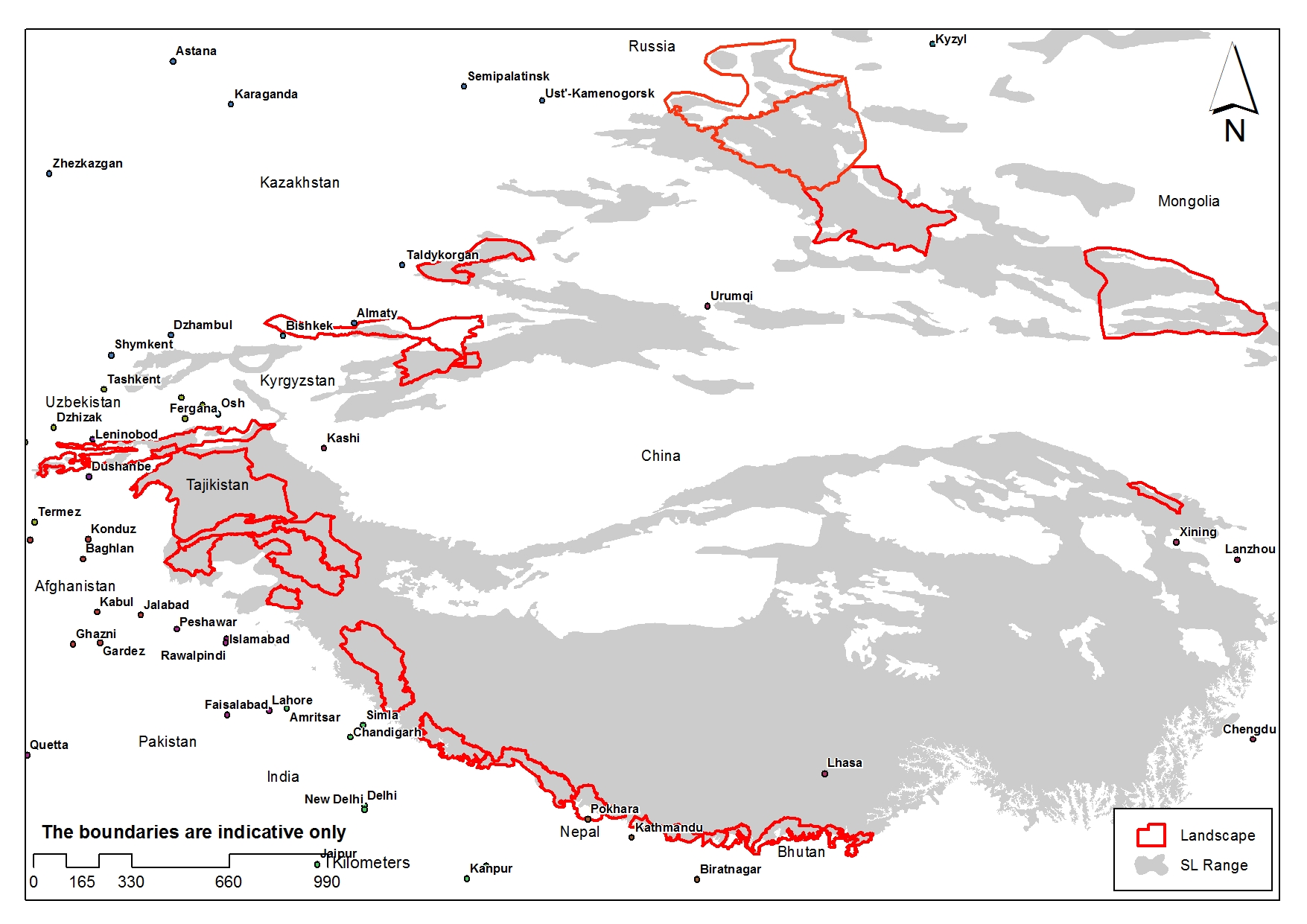International Snow Leopard Day: Hope, and Concern for the Cat