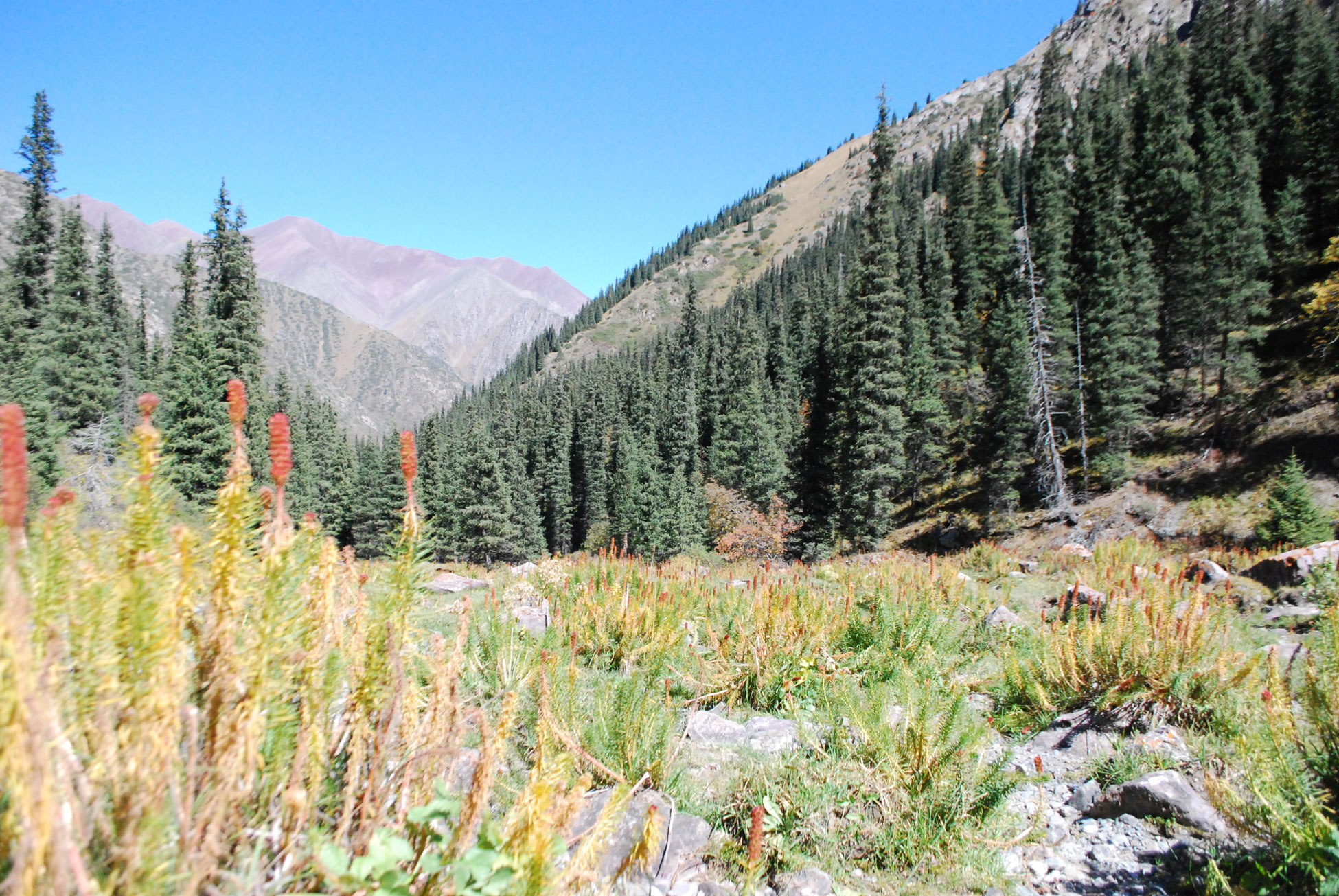A small mountain paradise, and a future snow leopard stronghold!