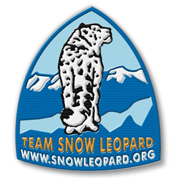 snow leopard essay snow leopard essay